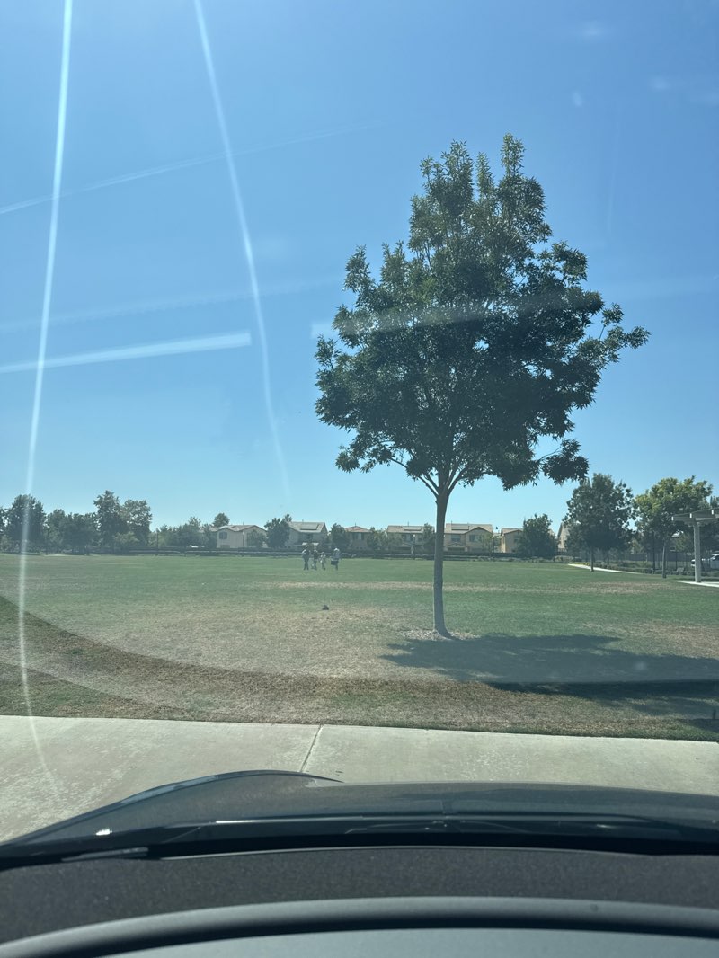walking near me in Celebration Park North in autumn