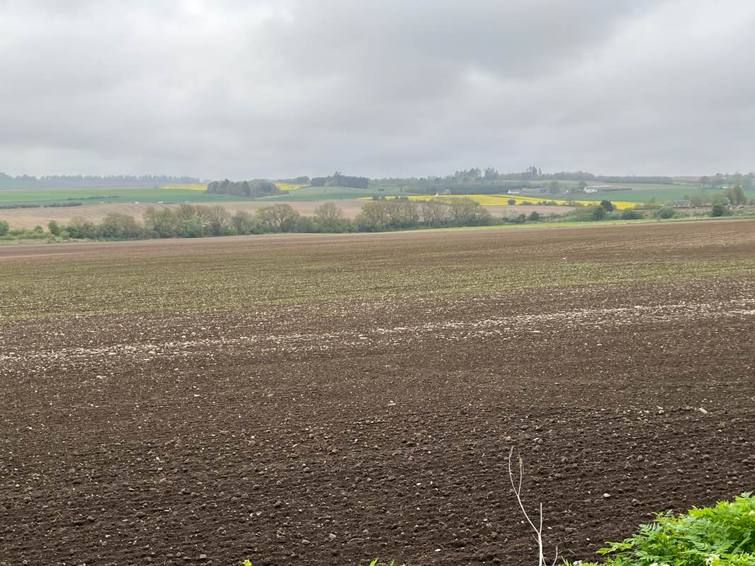 walking near me in Davie Park in winter