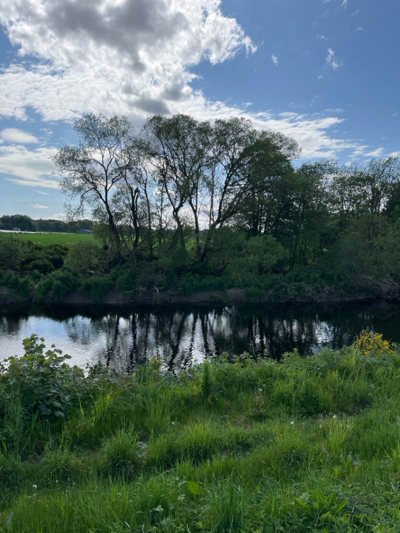 walking near me in Davie Park in summer