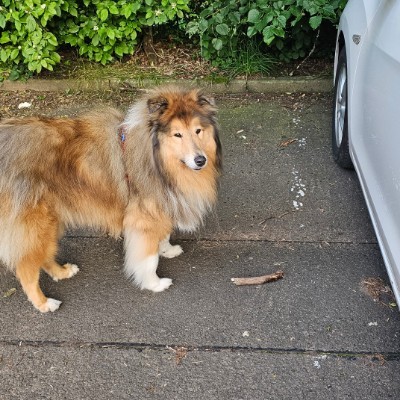 Team Harmony Marvin post image