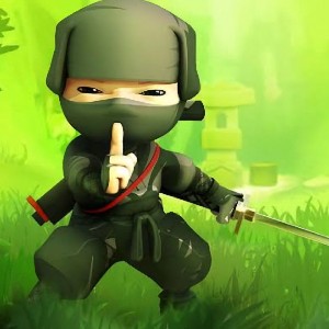 Green Ninja profile