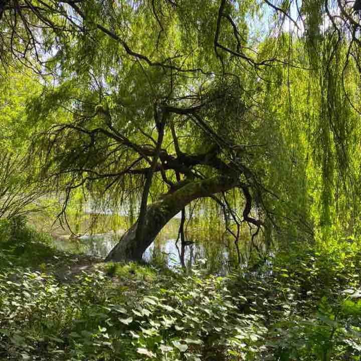 Muriel 🌸👟👟👟 post 1