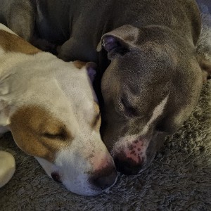 Martina Müller profile