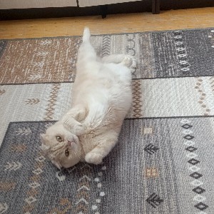 😇НАТУСИК😈 profile