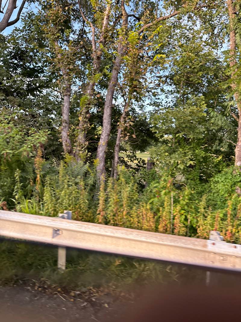 walking near me in Dukes Park in autumn