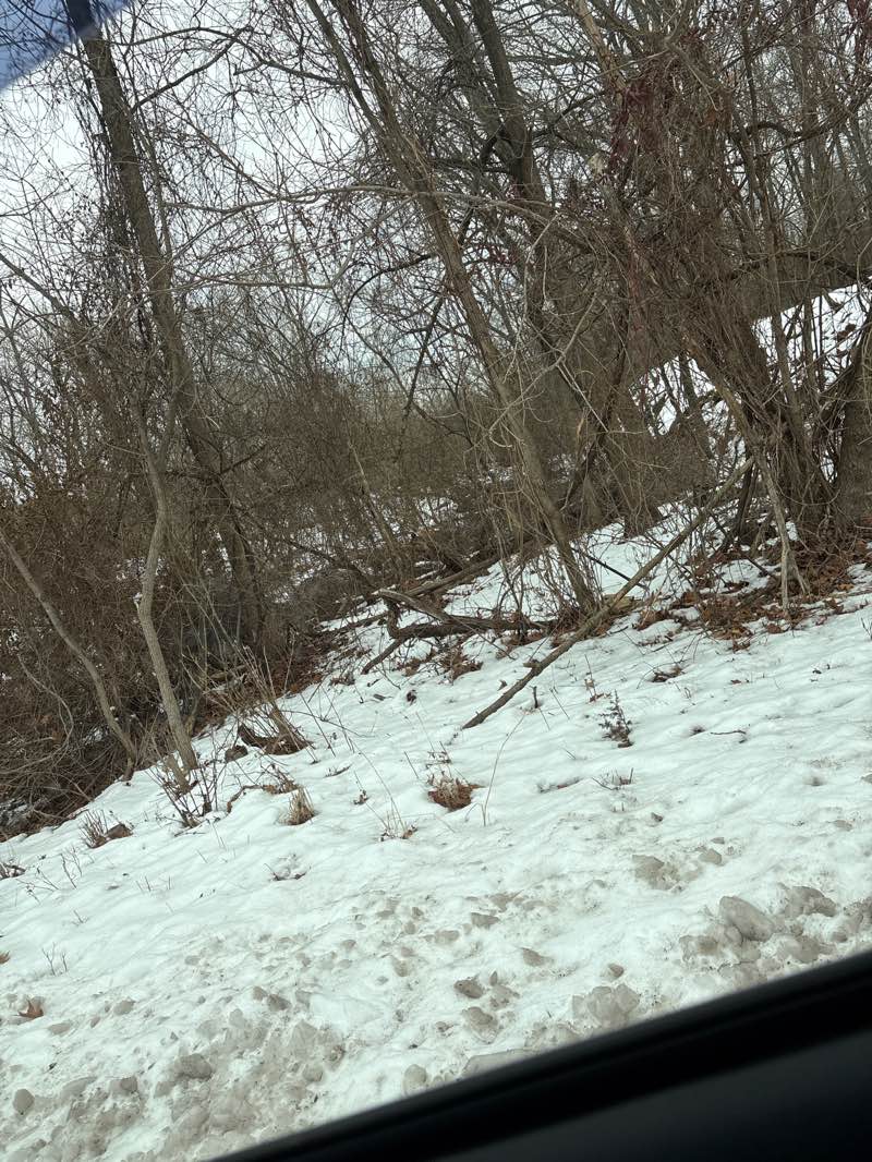 walking near me in Alexandra Park Lower End in winter