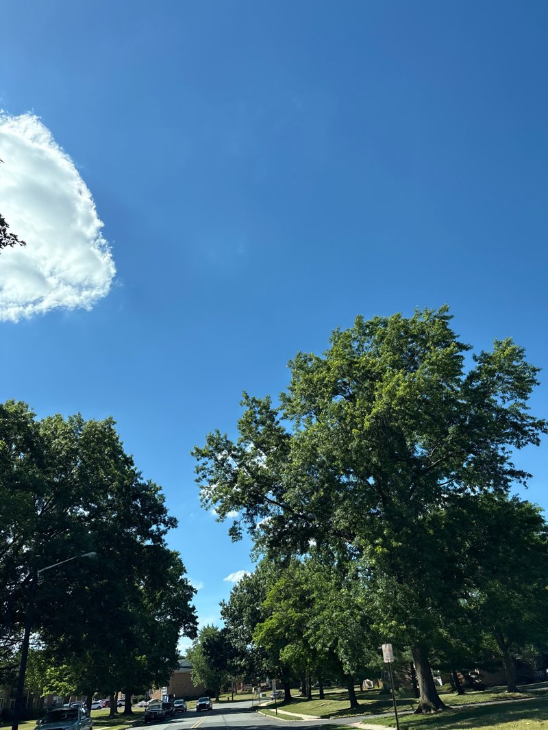 walking near me in Alexandra Park Lower End in summer