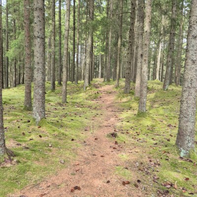 JOG STEPCHALLENGE 🏃‍♂️ Gelbrig post image