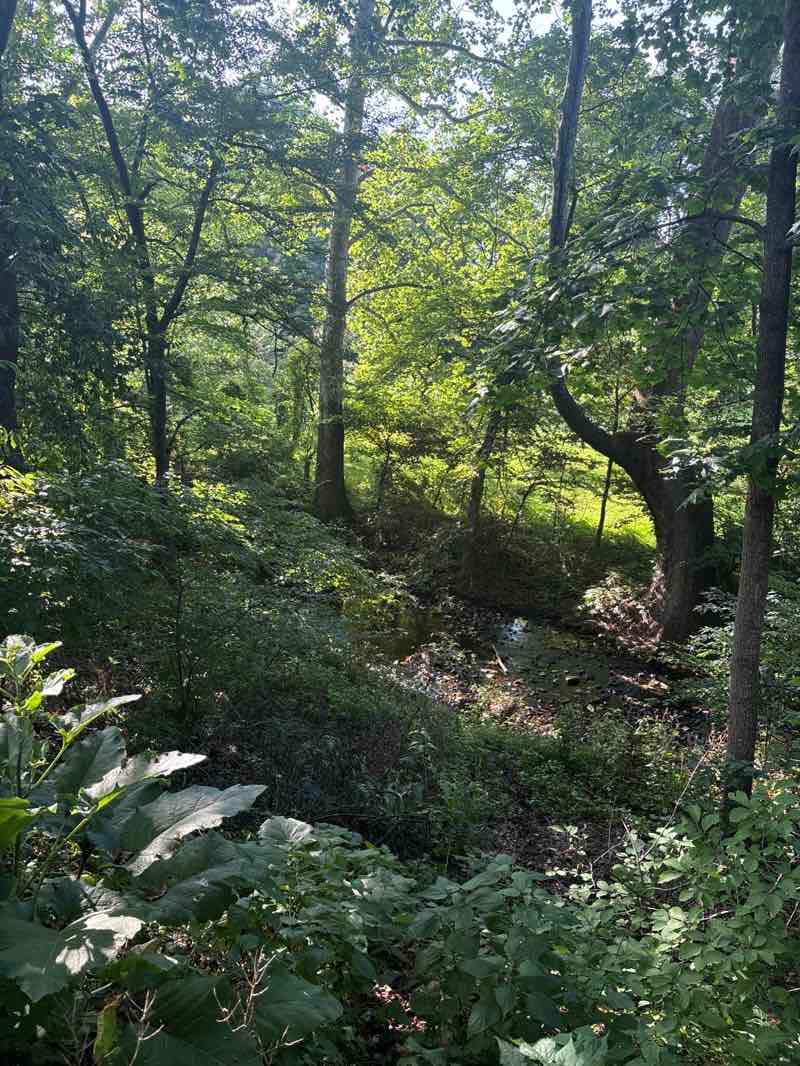 walking near me in Springlake Park in summer
