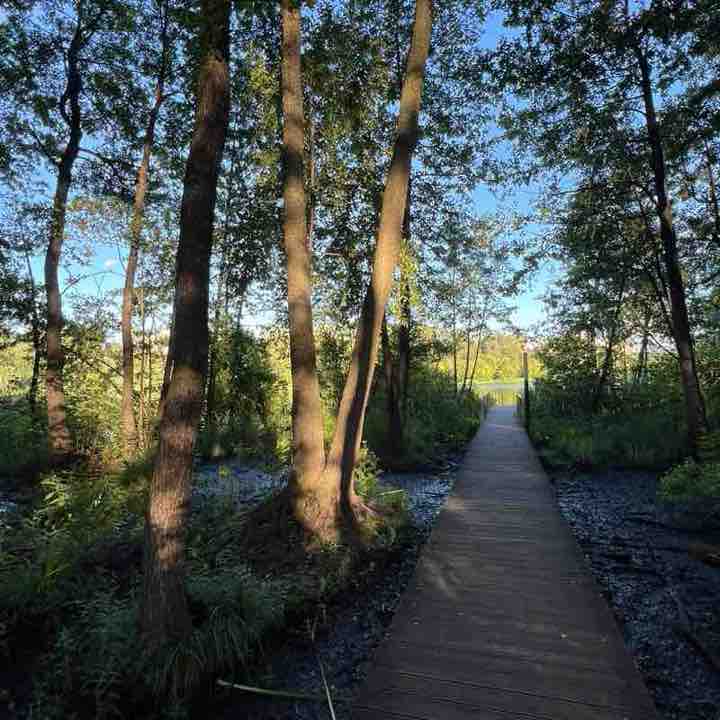 Все свои 🏃‍♀️ Дарья post image