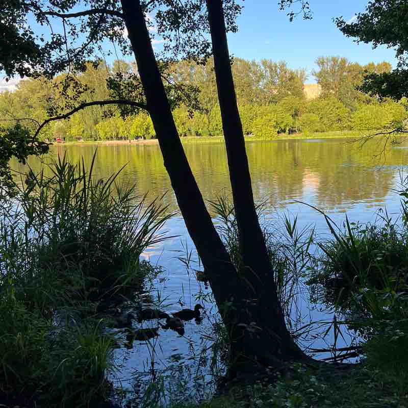 Все свои 🏃‍♀️ Дарья post image