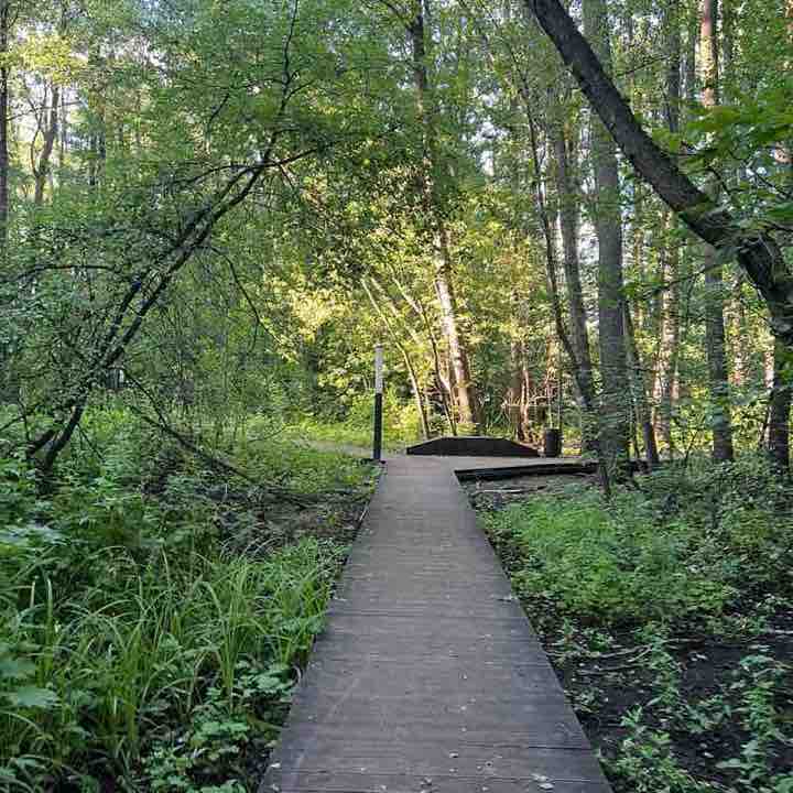 Все свои 🏃‍♀️ Дарья post image