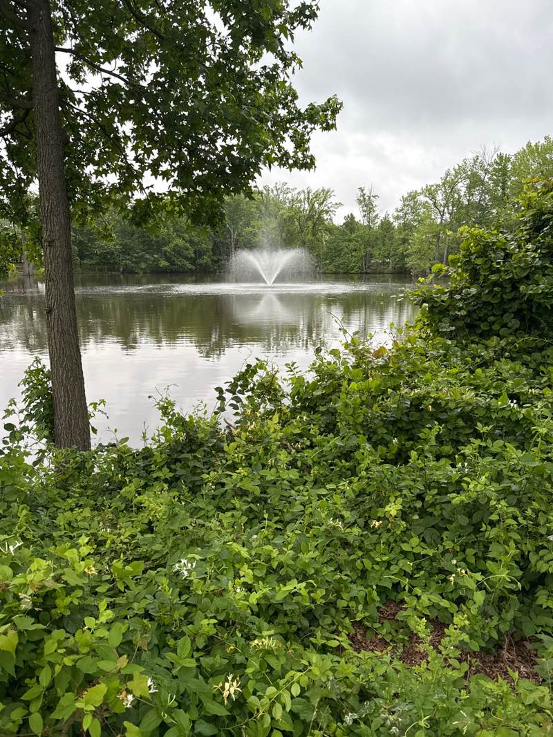 walking near me in Oak Tree Pond Park in summer