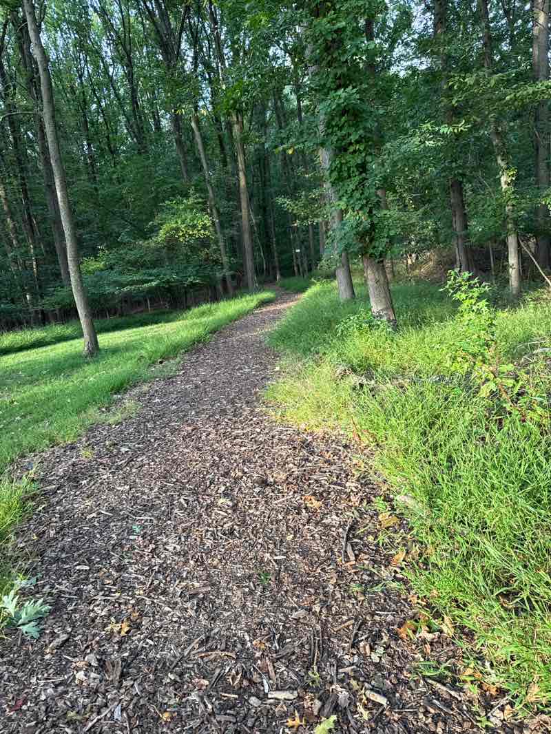 walking near me in Thomas Edison Memorial Park in autumn