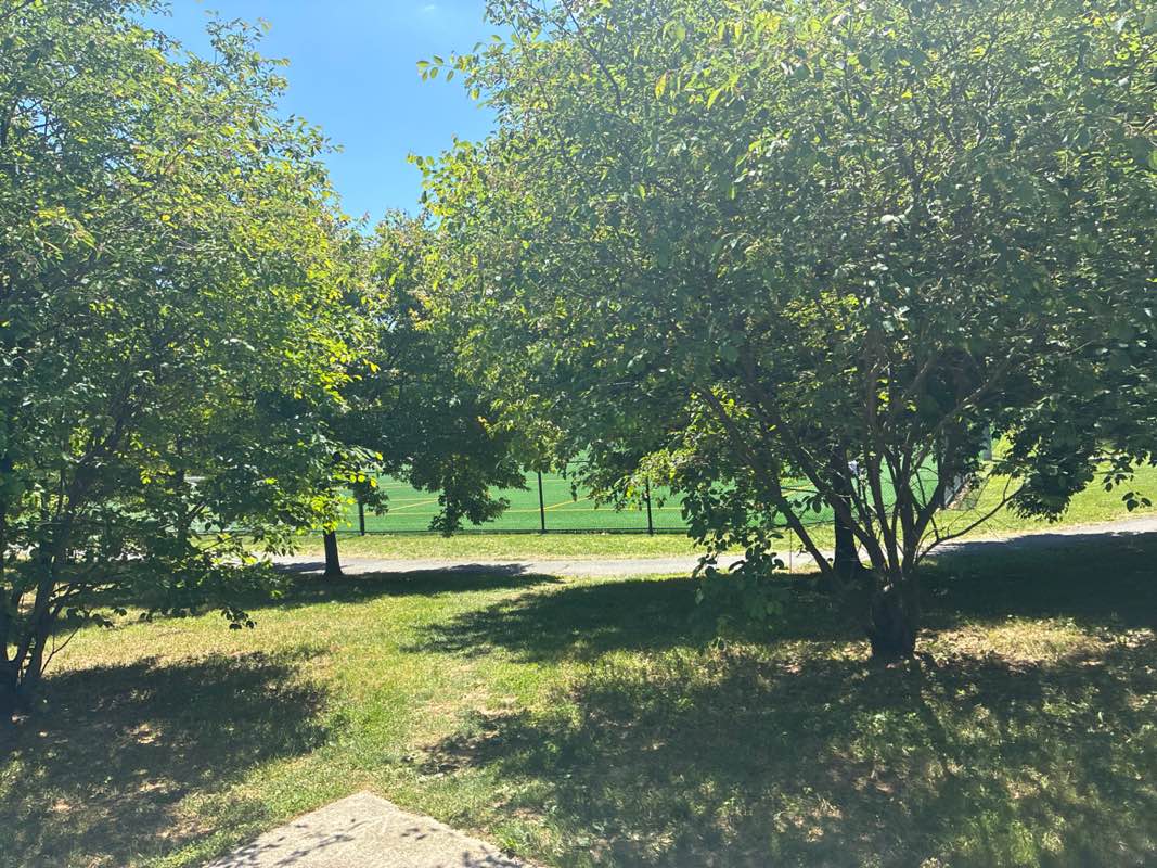 walking near me in Ken Lawrence Park in spring
