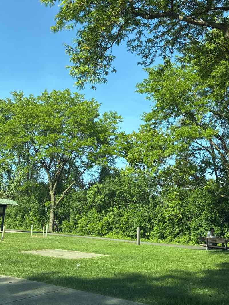 walking near me in Skokie Northshore Sculpture Park in summer