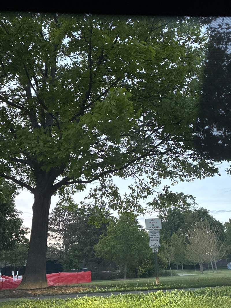 walking near me in Crestwood Park in summer