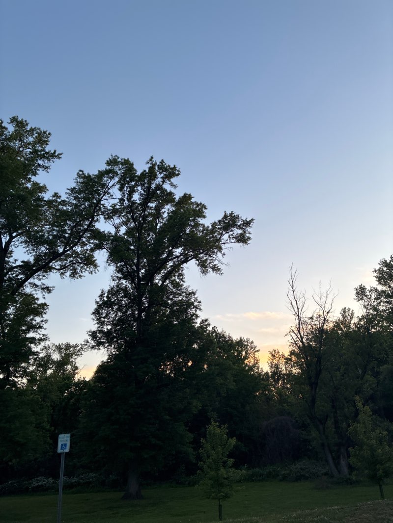 walking near me in Northwest Branch Stream Valley Park in spring