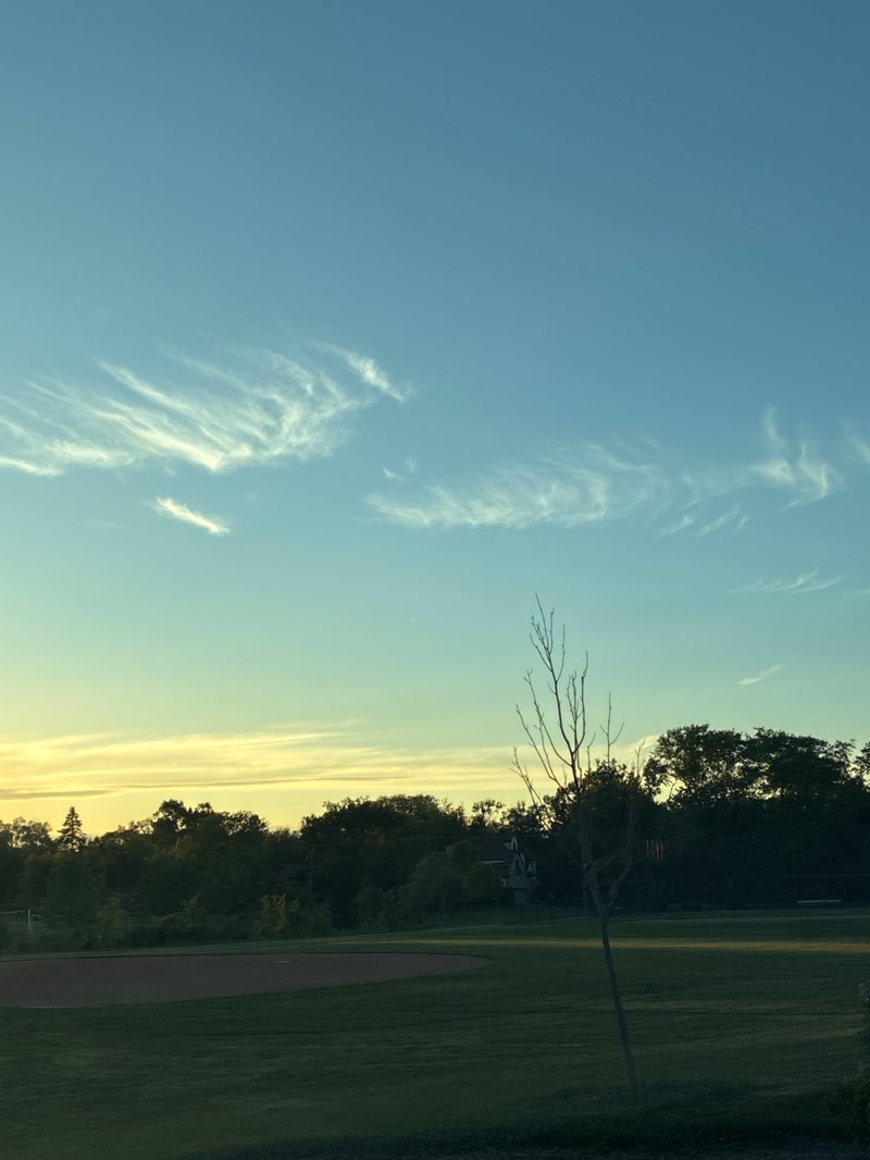 walking near me in Shepard Park in summer