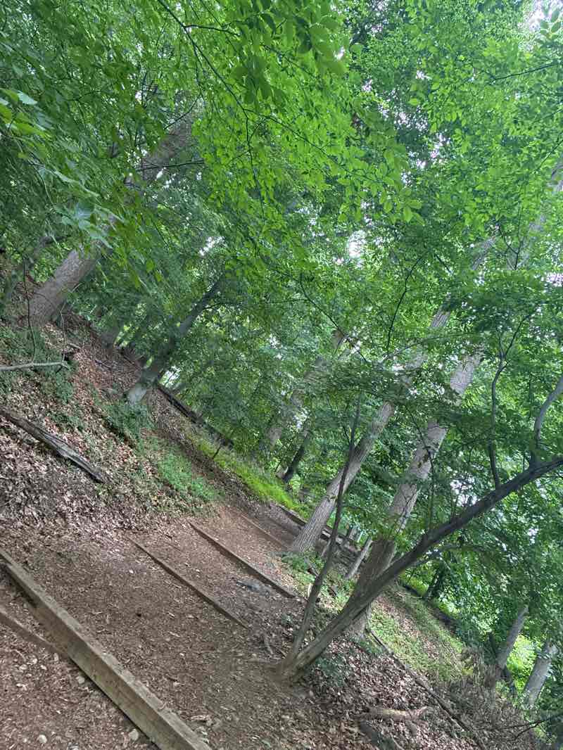walking near me in Burnt Mills West Special Park in summer