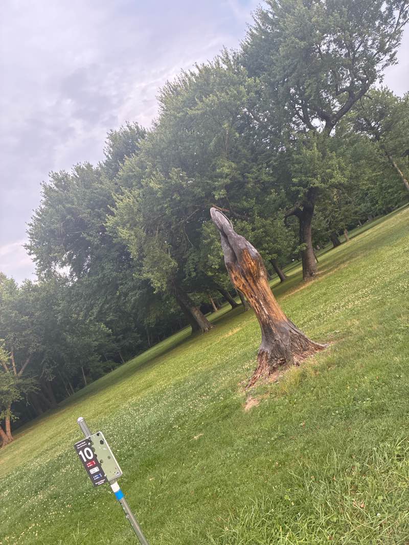 walking near me in Paint Branch Parkway Park in summer