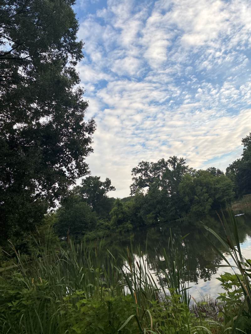 walking near me in University Hills Park in summer