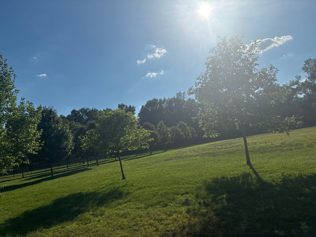 walking near me in Acredale Park in summer
