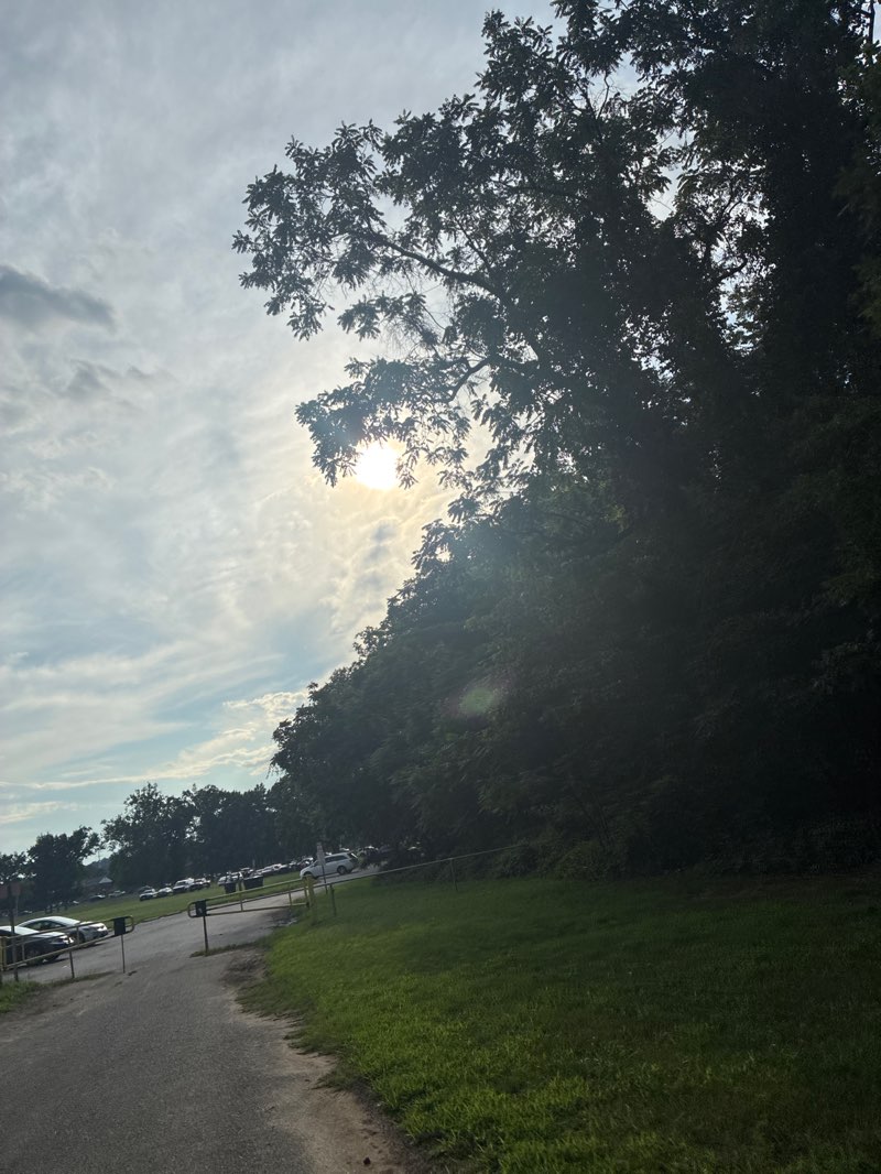 walking near me in Lane Manor Park in summer