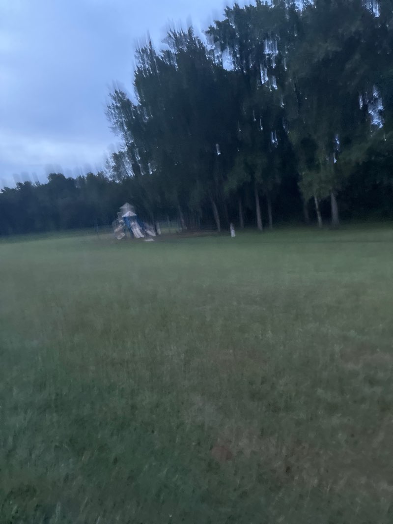 walking near me in Lewisdale Park in summer