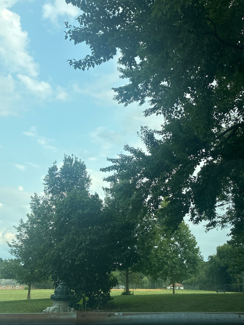 walking near me in Wheaton Forest Park in summer