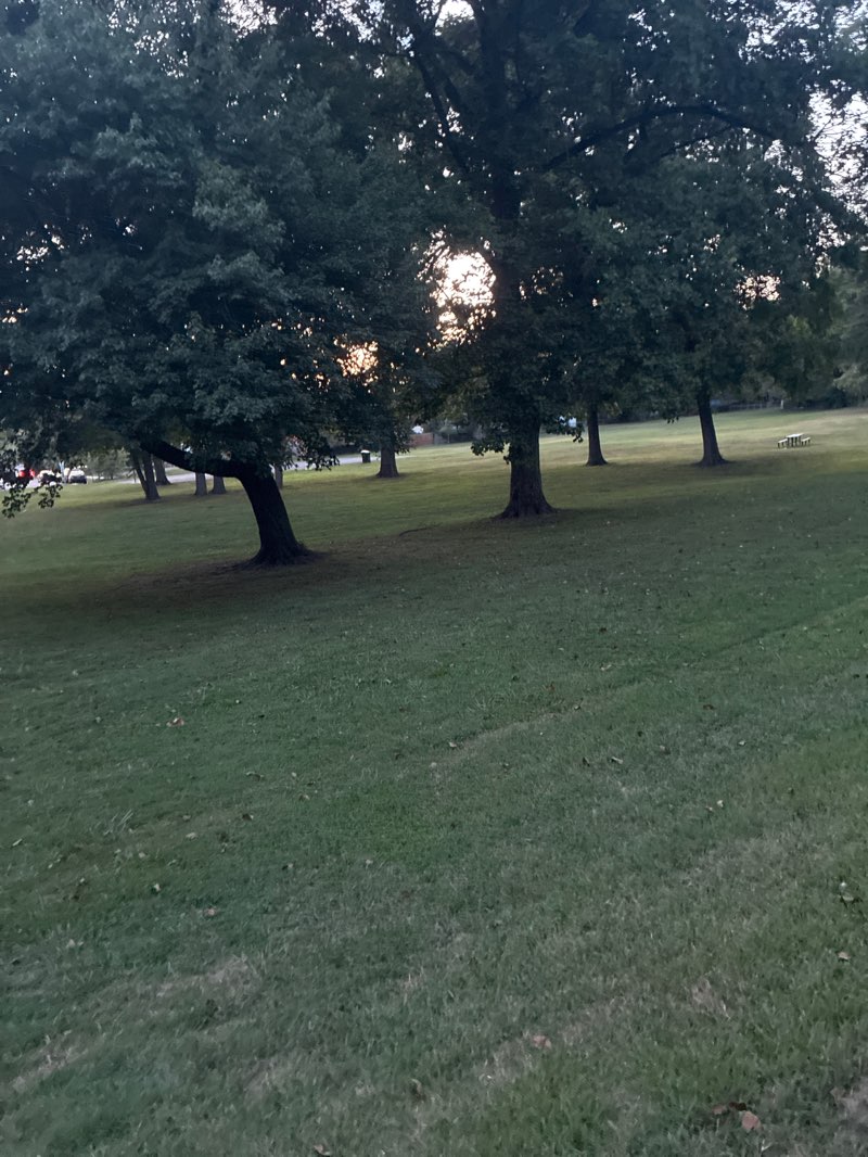 walking near me in Riggs Manor Park in summer