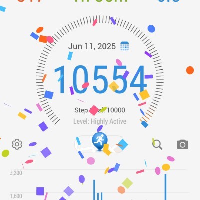 🇹🇷ISTANBUL🇹🇷 pal rose post image