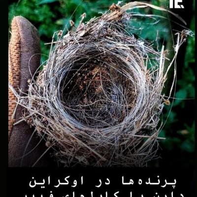 پیاده روی با دکتر هدی 🤩💚 pal rose post image