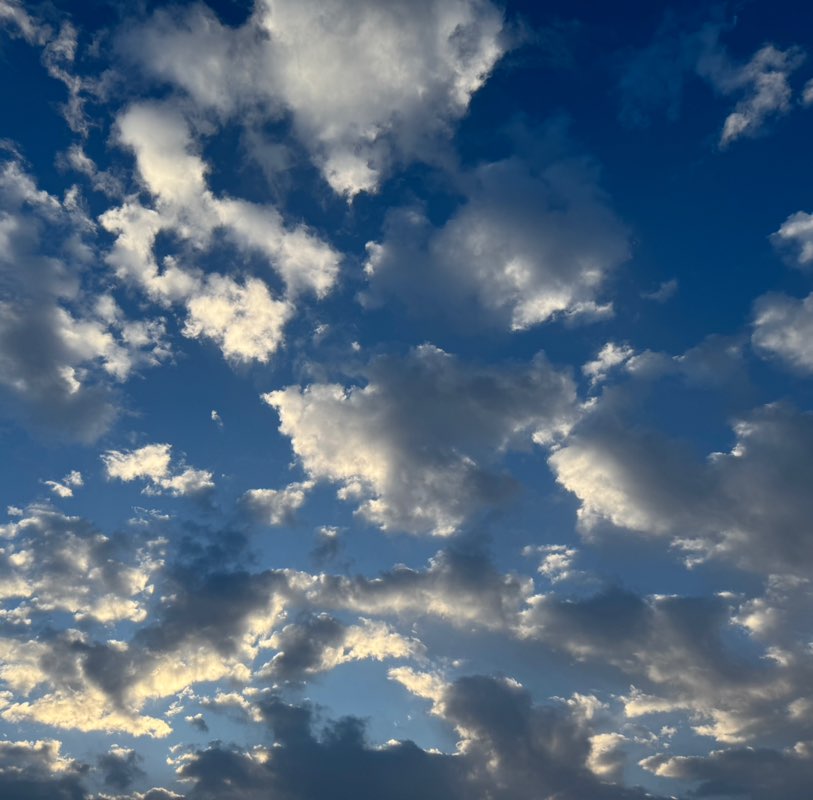 Manish Gurung profile