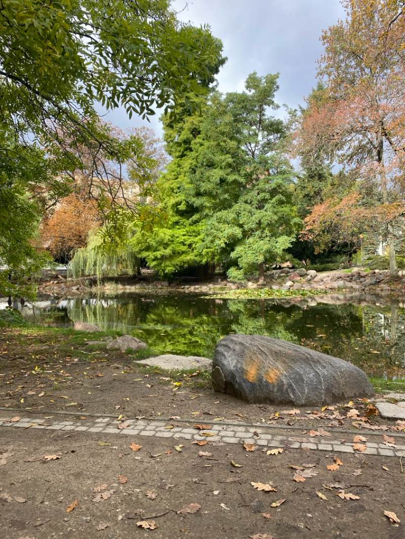 walking near me in Park im. Kazimierza Wielkiego in autumn