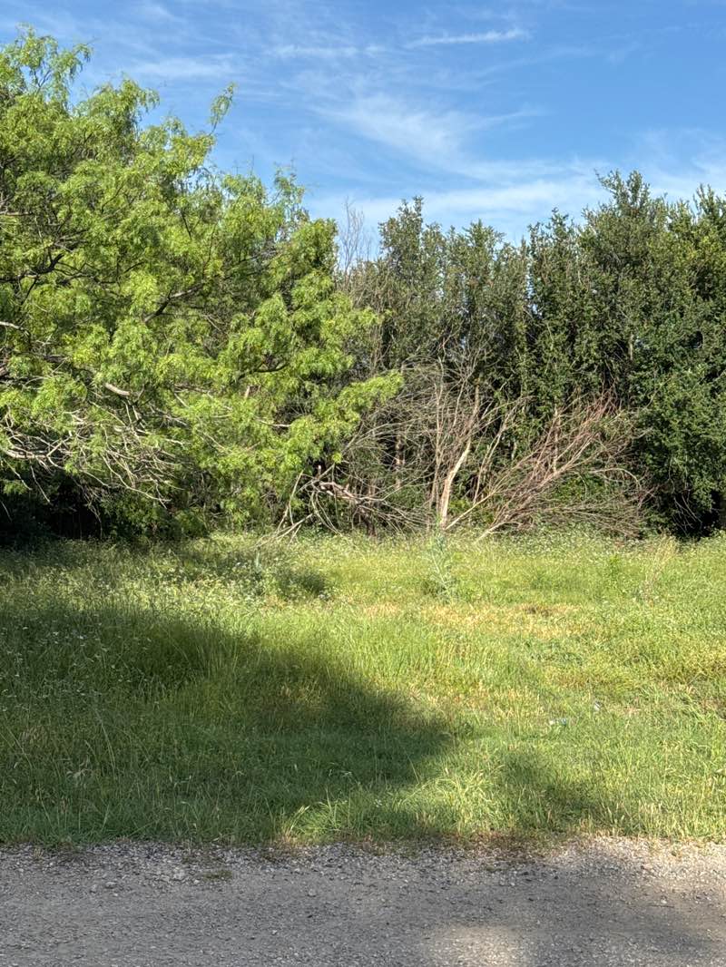 walking near me in Narrow Lake Park in spring