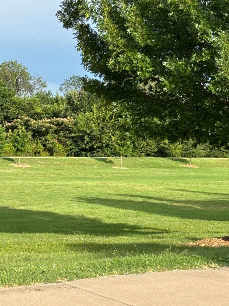 walking near me in Sequoia Park in summer