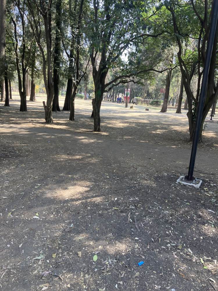 walking near me in Parque Naucalli in winter