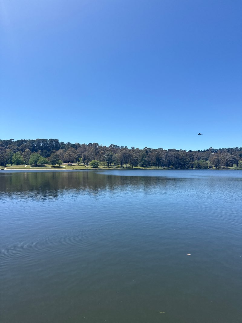 walking near me in Lake Canobolas Reserve in spring