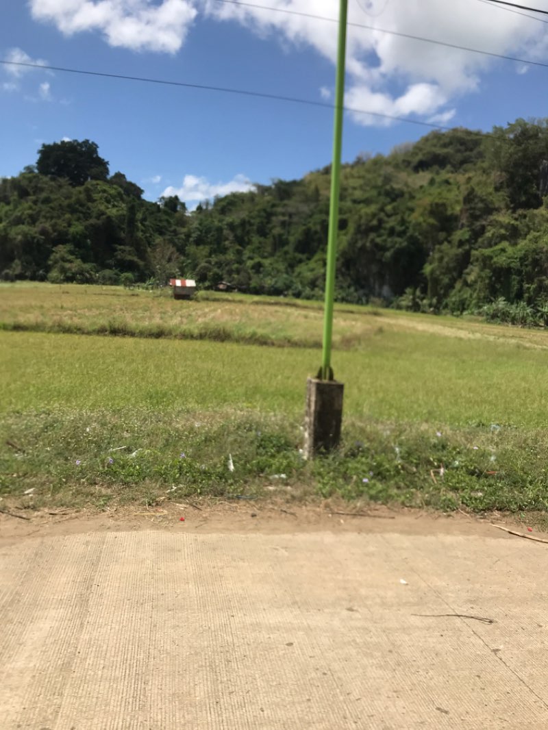 walking near me in Valley of Peace in winter