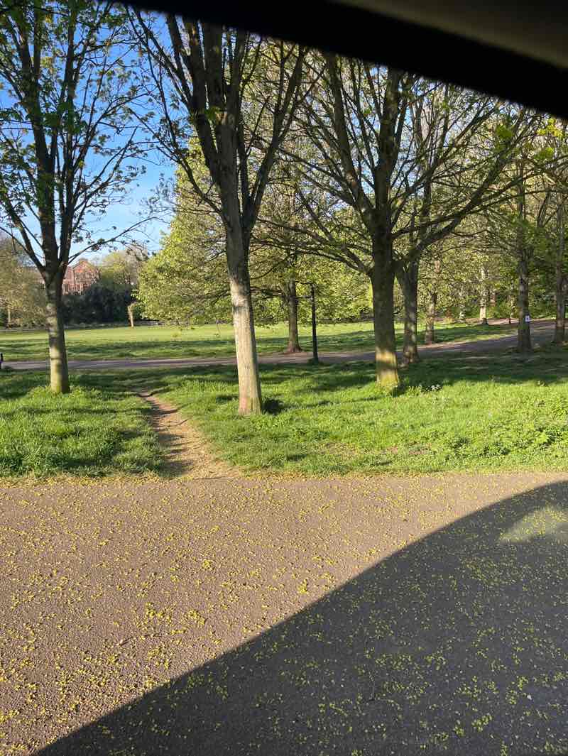 walking near me in Hove Park in spring