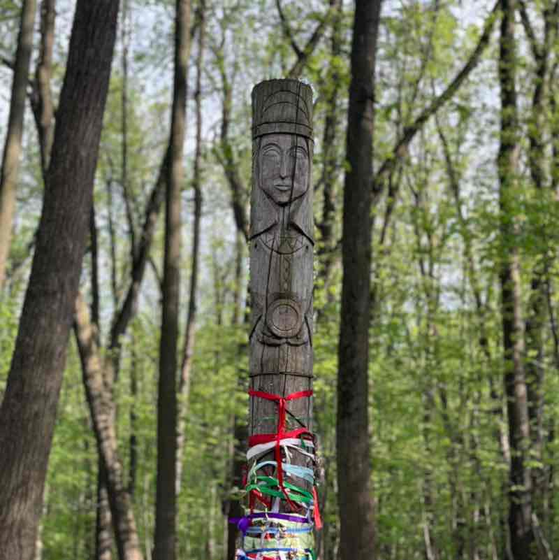 СпецДорПроект Сабина Якобчук post image