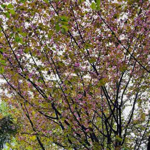 СпецДорПроект Сабина Якобчук post image