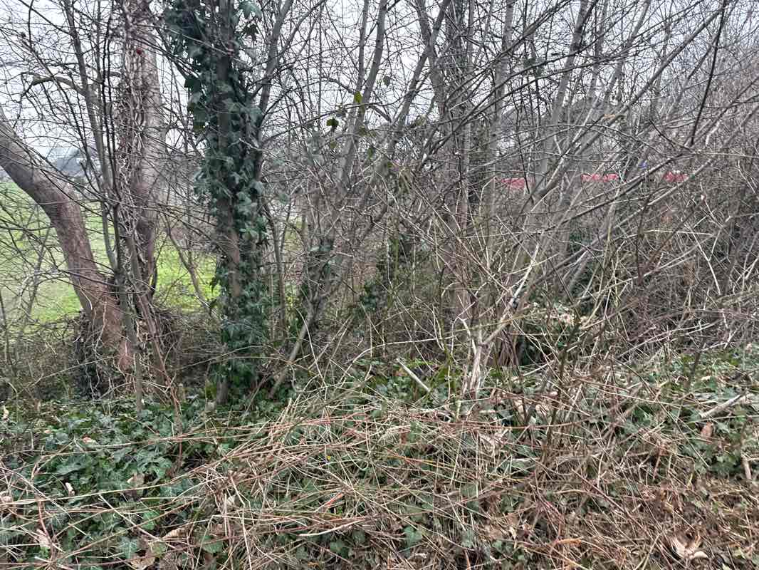 walking near me in Hesketh Park in winter