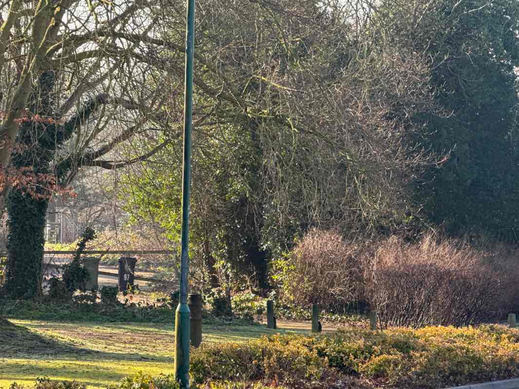 walking near me in Darenth Country Park in spring