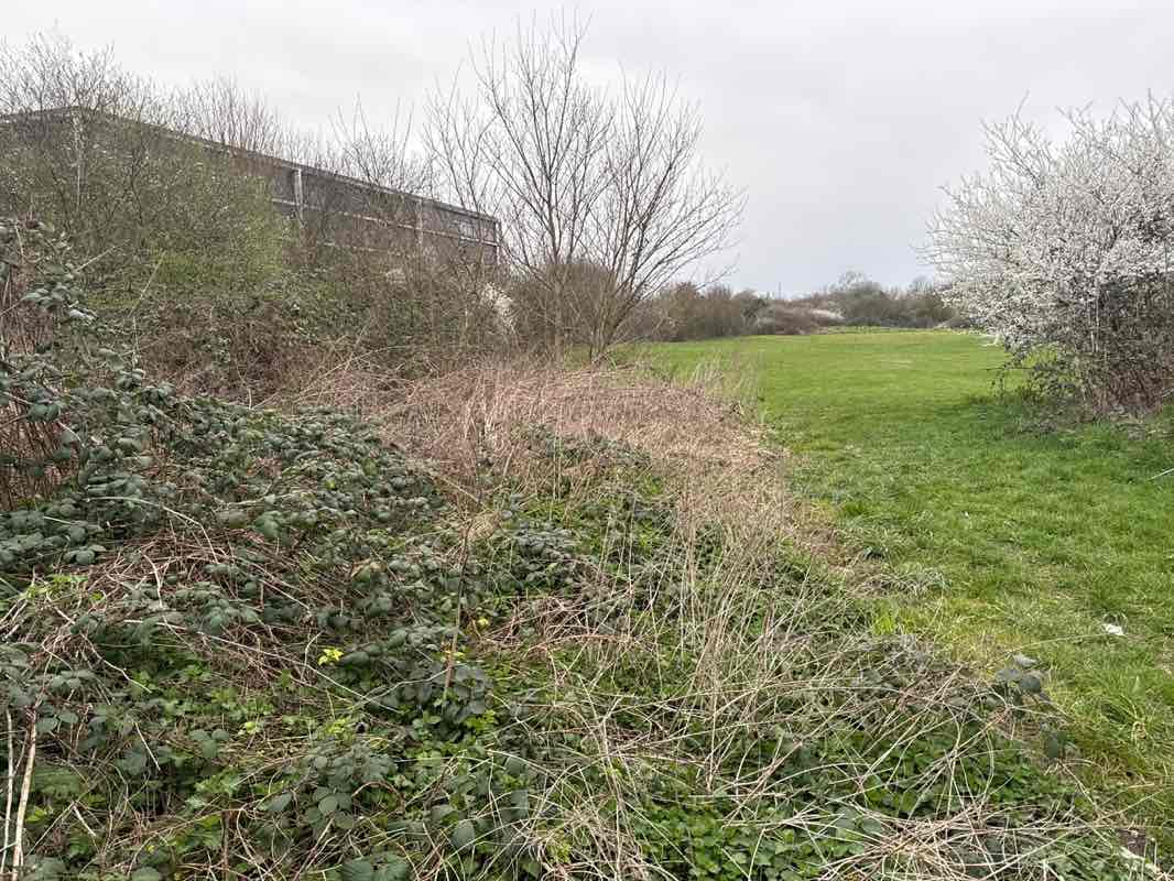 walking near me in Northfleet Urban Country Park in spring