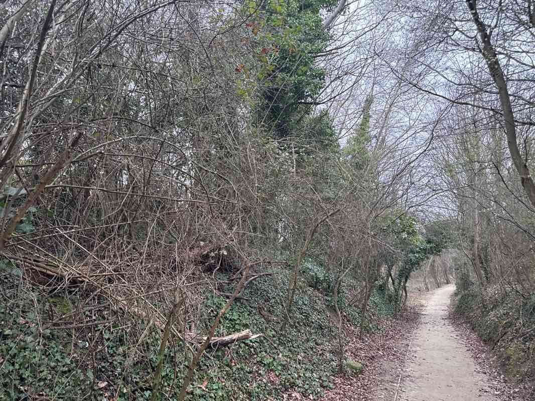 walking near me in Castle Hill Garden City Park in spring