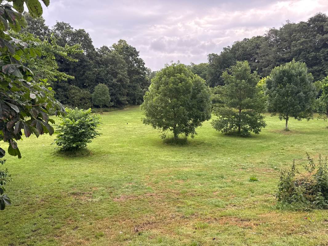 walking near me in Shenstone Park in summer