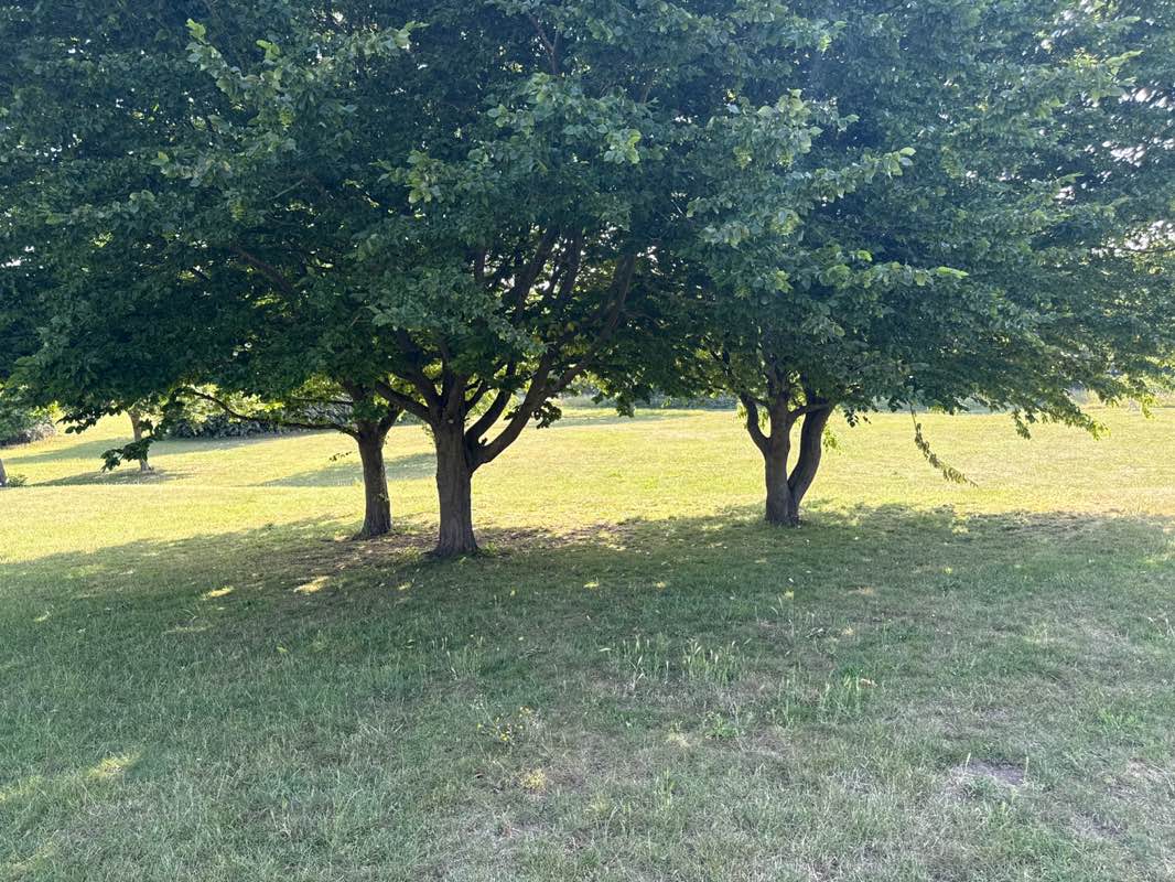 walking near me in Worcester Park in summer