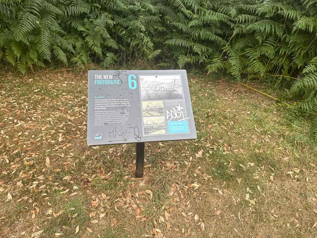 walking near me in Lower Lines Park in summer